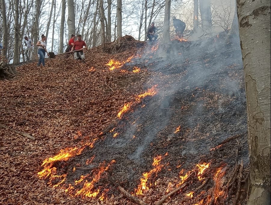 Măsuri, acţiuni și structuri activate în situaţia producerii incendiilor de pădure